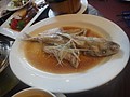 DSC00520.JPG