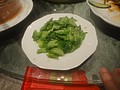 DSC00553.JPG