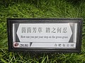 DSC00724.JPG