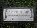 DSC00737.JPG