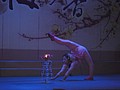 DSC00826.JPG