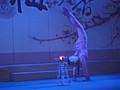 DSC00829.JPG