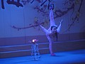 DSC00830.JPG
