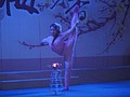 DSC00835.JPG