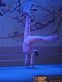 DSC00842.JPG
