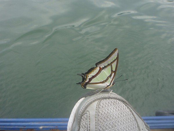 DSC00874.JPG