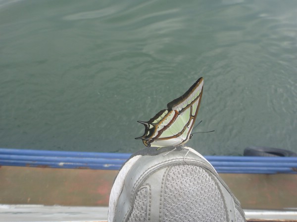 DSC00875.JPG
