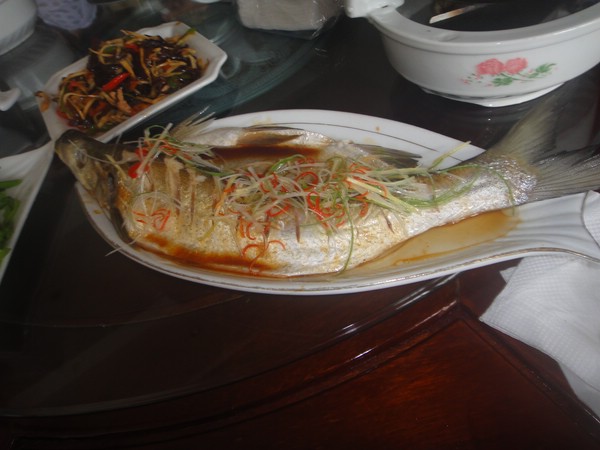 DSC00891.JPG
