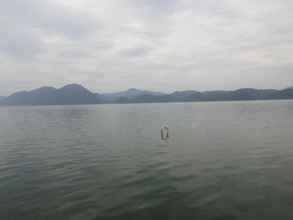 DSC00892.JPG