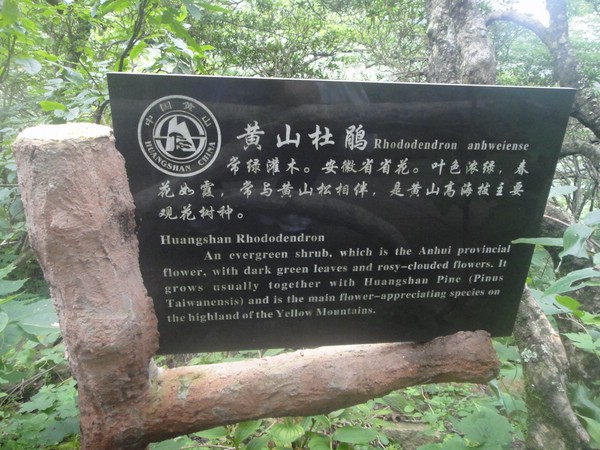 DSC00909.JPG