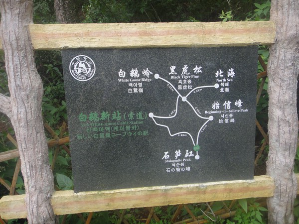 DSC00910.JPG