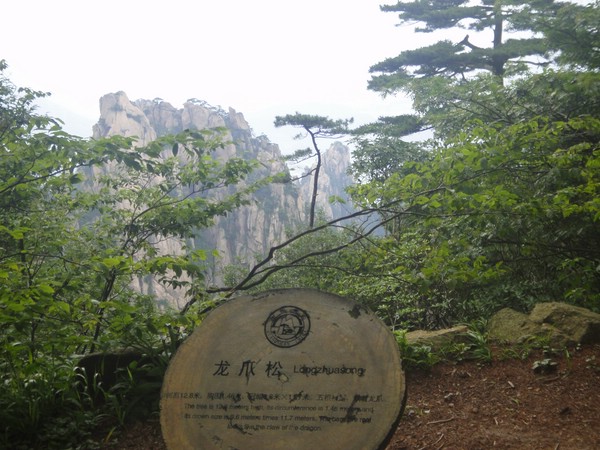 DSC00957.JPG