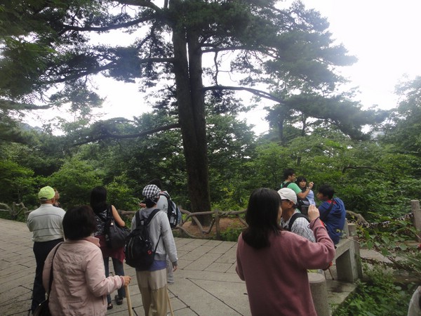DSC00964.JPG