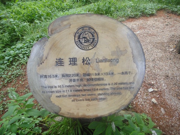 DSC00965.JPG