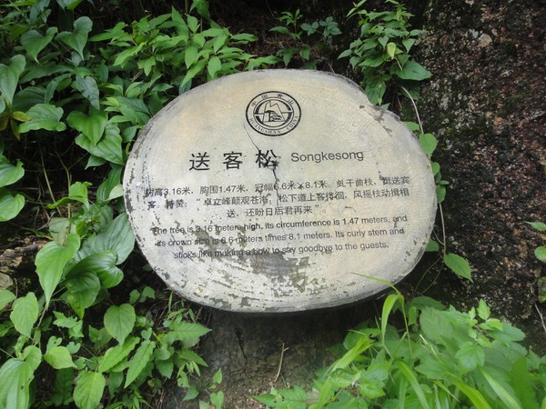 DSC01207.JPG