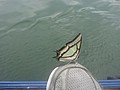 DSC00874.JPG