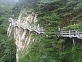 DSC00903.JPG