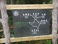 DSC00910.JPG