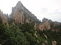 DSC00916.JPG