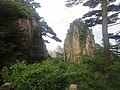 DSC00924.JPG
