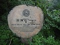 DSC00925.JPG