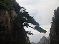 DSC00930.JPG