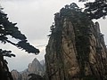 DSC00931.JPG