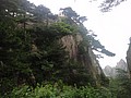 DSC00932.JPG