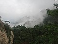 DSC00940.JPG