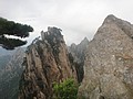 DSC00942.JPG