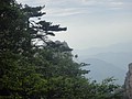 DSC00955.JPG