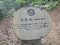 DSC00956.JPG