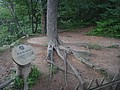 DSC00958.JPG