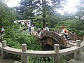 DSC00962.JPG