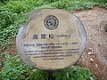 DSC00965.JPG