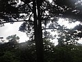 DSC00967.JPG