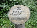 DSC00969.JPG