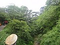DSC00974.JPG