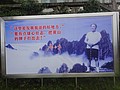 DSC00976.JPG