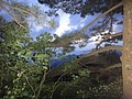 DSC01048.JPG