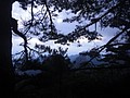 DSC01051.JPG