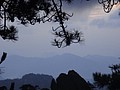 DSC01053.JPG