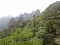 DSC01062.JPG
