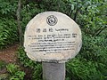 DSC01075.JPG