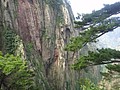 DSC01093.JPG