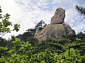 DSC01102.JPG