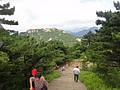 DSC01129.JPG