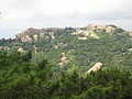 DSC01130.JPG