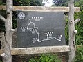 DSC01159.JPG