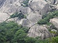 DSC01171.JPG